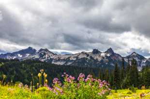 Tatoosh Range-0064